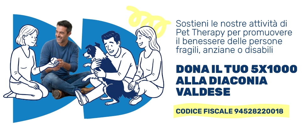 csd